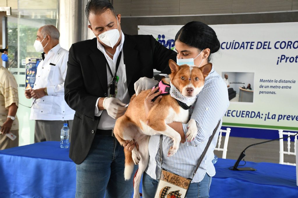 Jornada nacional de vacunación antirrábica será durante noviembre y espera aplicar un millón de dosis