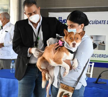 Jornada nacional de vacunación antirrábica será durante noviembre y espera aplicar un millón de dosis
