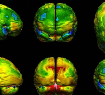 Investigadores publicaron tratamiento cerebral para modificar miedos, gustos y mejorar la confianza