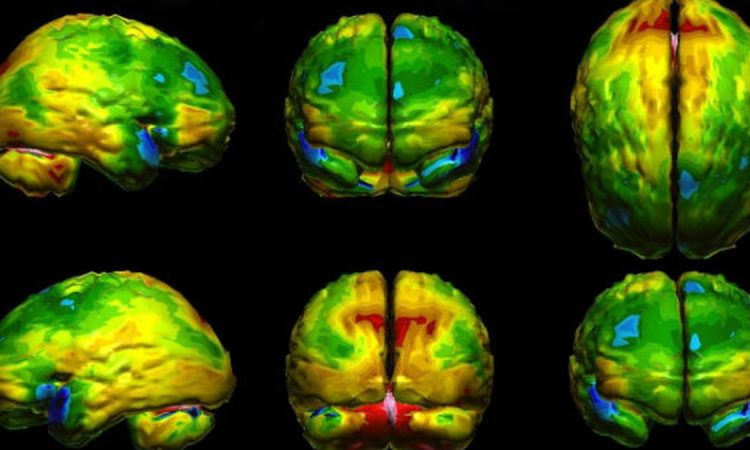 Investigadores publicaron tratamiento cerebral para modificar miedos, gustos y mejorar la confianza