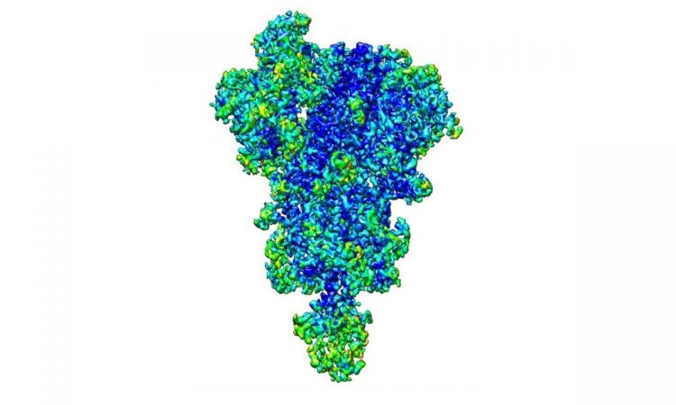Investigadores desarrollaron avanzado procesador tridimensional para decodificar el SARS-CoV-2