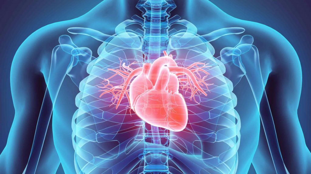 Cardiosíntesis y Cardiology Report ofrecerán conversatorio online sobre la insuficiencia cardíaca