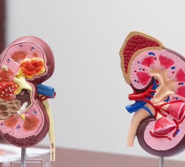 MacroTech dio a conocer innovadora prueba para pronosticar estado renal de diabéticos