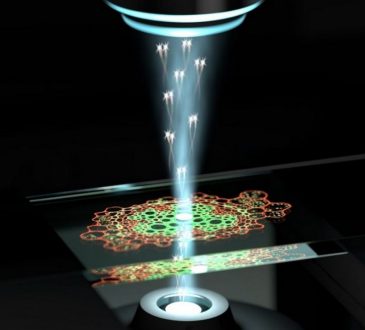 Investigadores alemanes y australianos crearon innovador microscopio que permite acceder a estructuras celulares sin destruirlas