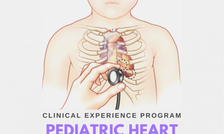 AMSA UNPHU lanzó curso gratuito de cardiología pediátrica