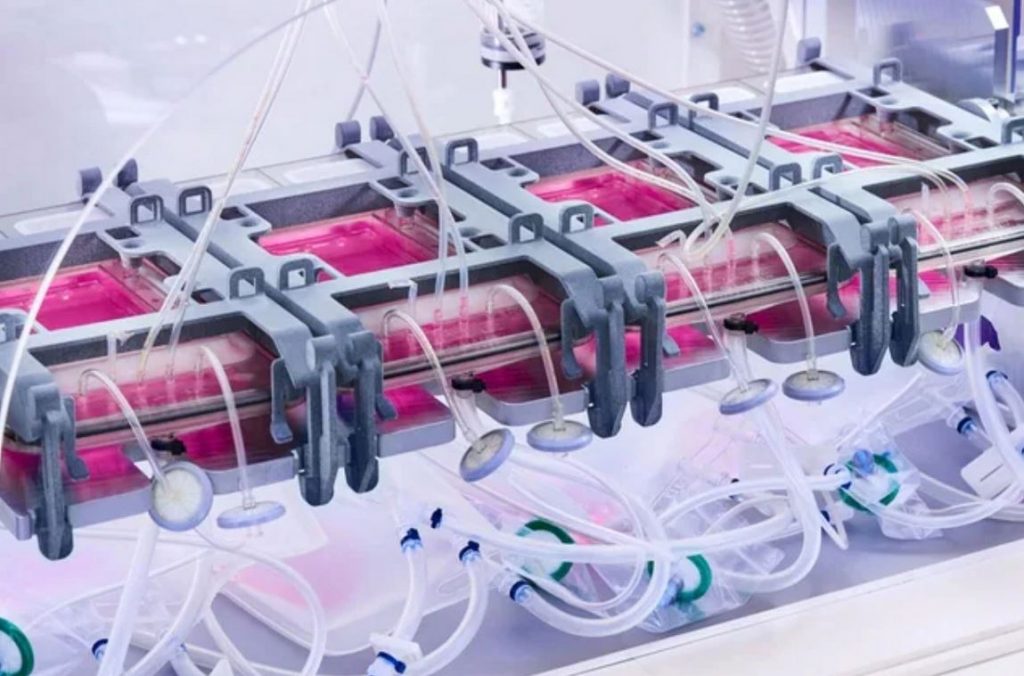 Cutiss desarrolló artefacto que crea piel, útil para pacientes con pérdidas del 70% de tejido