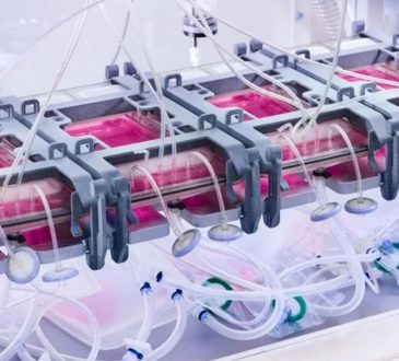 Cutiss desarrolló artefacto que crea piel, útil para pacientes con pérdidas del 70% de tejido