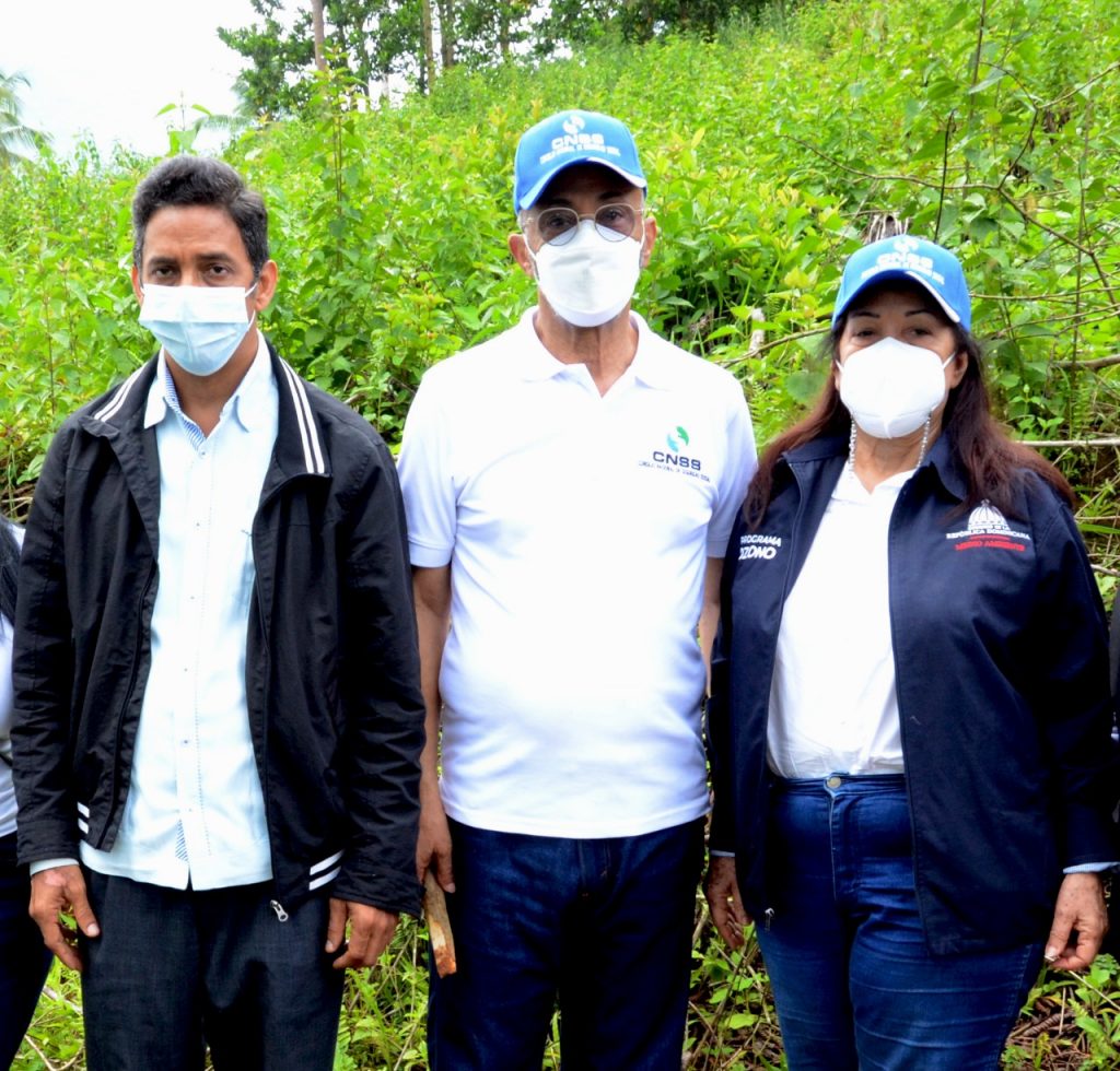 CNSS sembró 3,000 árboles como parte de su programa de responsabilidad social CNSS sembró 3,000 árboles como parte de su programa de responsabilidad social