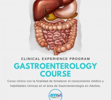 AMSA-UNPHU dictará curso teórico-práctico de gastroenterología en adultos