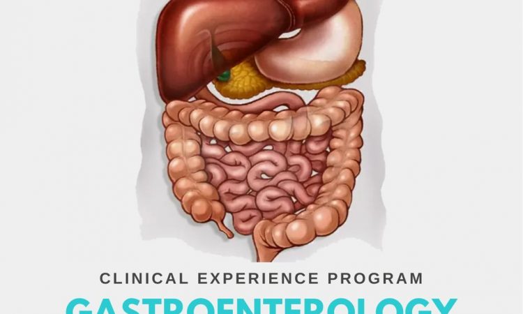 AMSA-UNPHU dictará curso teórico-práctico de gastroenterología en adultos AMSA-UNPHU dictará curso teórico-práctico de gastroenterología en adultos