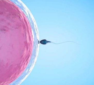 Investigadores hallaron método para inmovilizar espermatozoides y resultaron 99.9% efectivos como método anticonceptivo