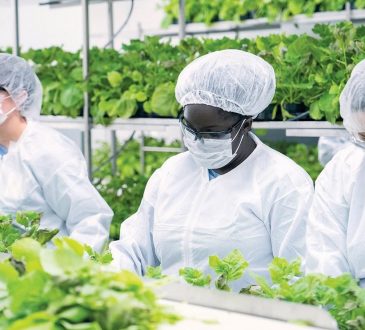 Argentina elabora la tercera fase de la “vacuna vegetal” contra COVID-19