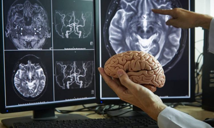 Investigador estadounidense elaboró interfaz para generar movimiento o comunicación en pacientes con movilidad reducida