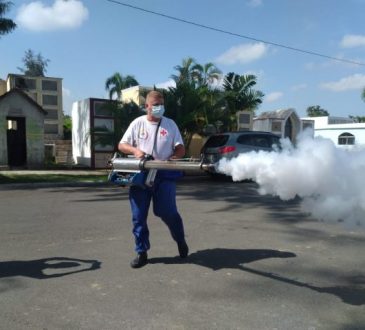 MSP activó fumigación para disminuir los riesgos por dengue y otras enfermedades