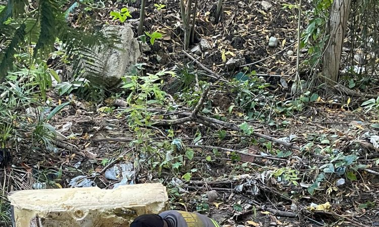 Policía Nacional capturó a asesino confeso de médico en Santiago Policías de la DICRIM capturaron el domingo al asesino confeso del Dr. José Miguel Cabrera
