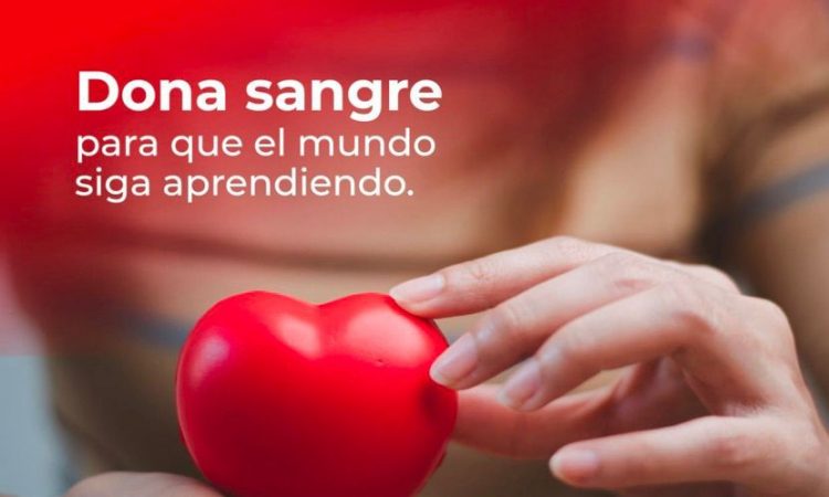 UNPHU realizará jornada de recolección de sangre este miércoles UNPHU realizará jornada de recolección de sangre este miércoles