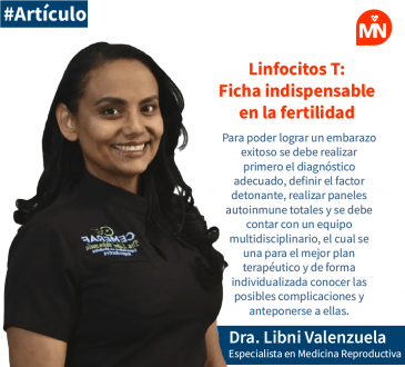 Linfocitos T: ficha indispensable en la fertilidad