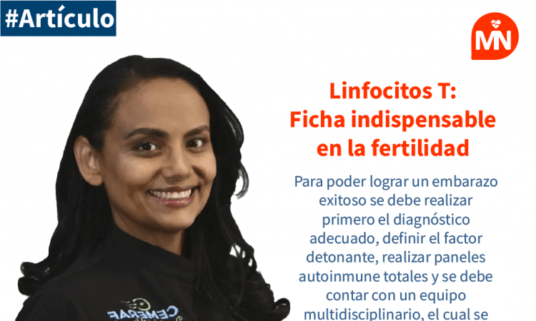 Linfocitos T: ficha indispensable en la fertilidad