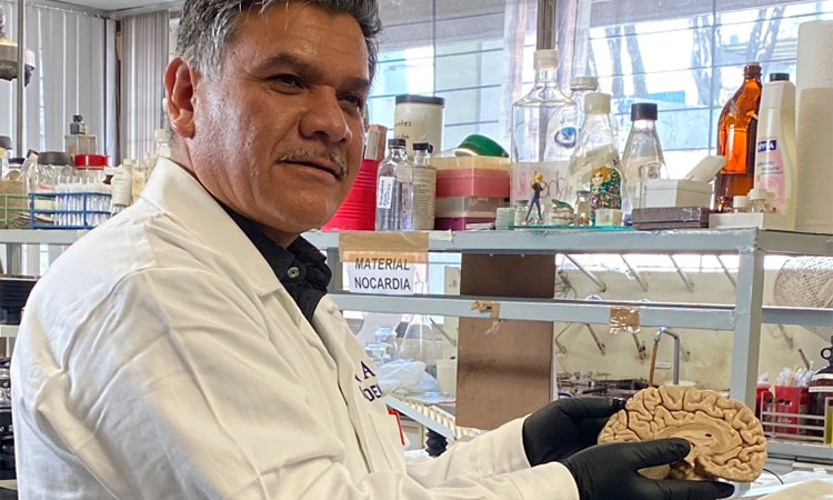 Banco Nacional de Cerebros UNPHU investiga enfermedades neurodegenerativas