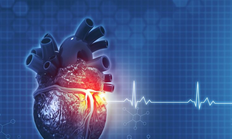 Nuevos estudios revelan daños cardiovasculares post-covid-19