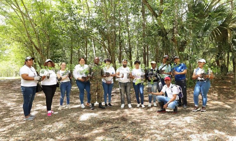 Hospital Jacinto Ignacio Mañón plantó 220 árboles en el Humedales del Ozama