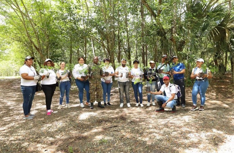 Hospital Jacinto Ignacio Mañón plantó 220 árboles en el Humedales del Ozama