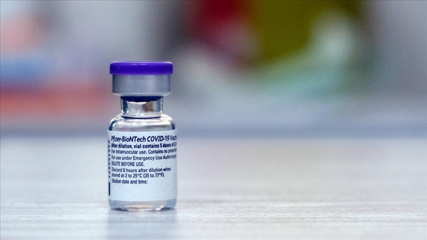 Las mejores vacunas de adultos mayores para un envejecimiento saludable Vacunas Pfizer