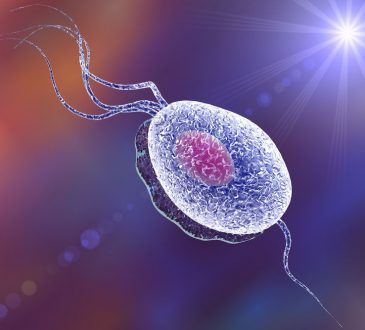 la tricomoniasis, una enfermedad de transmisión sexual (ETS)