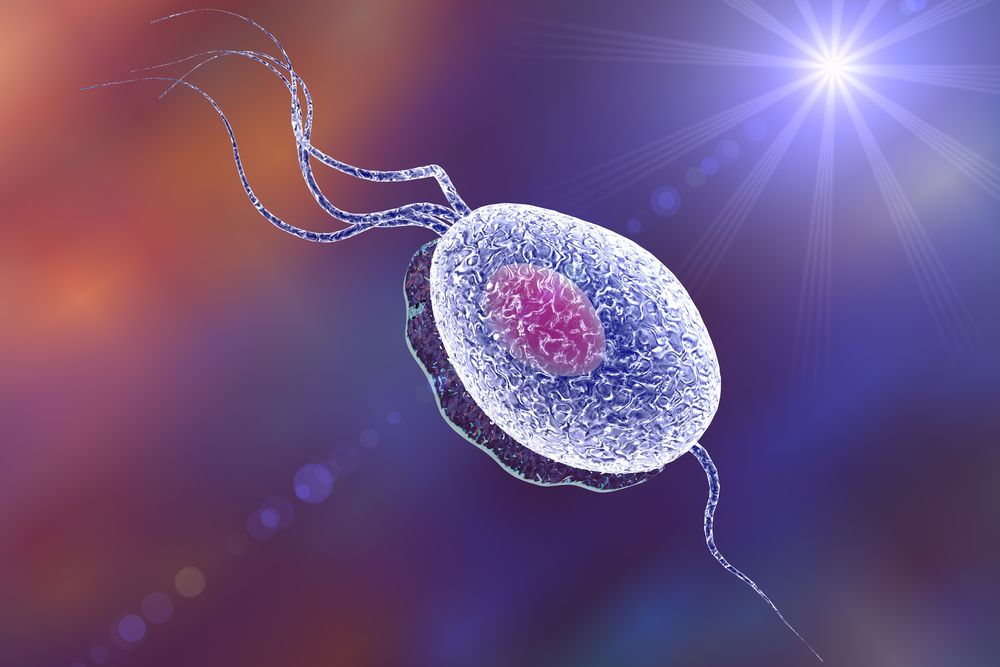 la tricomoniasis, una enfermedad de transmisión sexual (ETS)