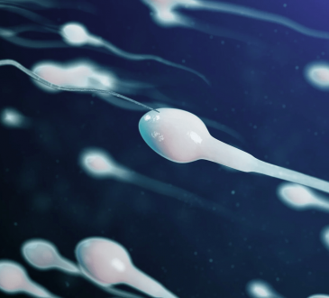 El covid-19 impacta en la calidad del esperma a largo plazo, según estudio