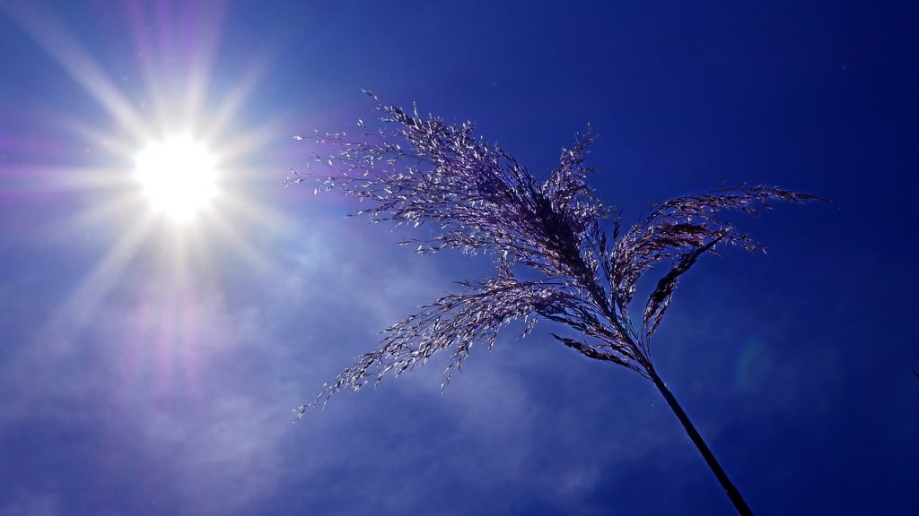 MSP exhorta a la población a mantenerse hidratada ante ola de calor en RD