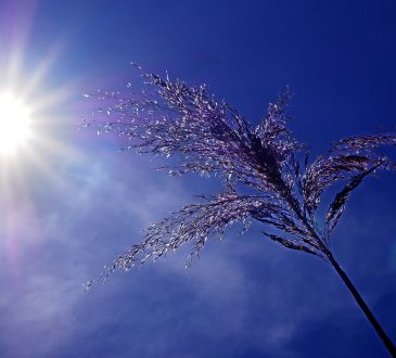 MSP exhorta a la población a mantenerse hidratada ante ola de calor en RD