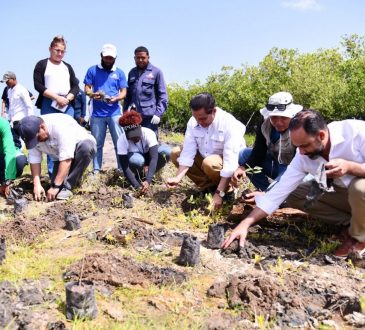 Destacan importancia del medio ambiente para la salud integral