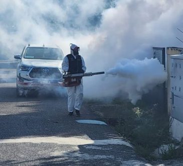 Salud Pública refuerza medidas preventivas por casos de dengue