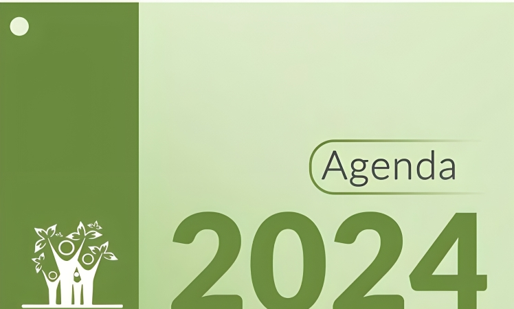 Sociedad de Geriatría anuncia actividades de su agenda científica 2024