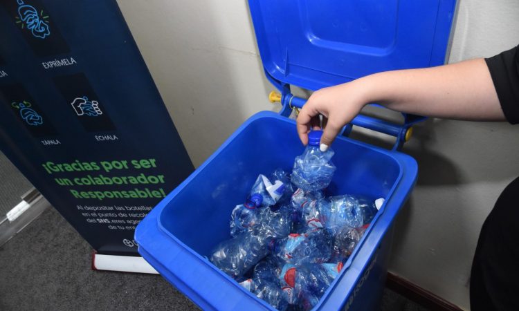 SNS refuerza su iniciativa de reciclaje y reforestación ambiental