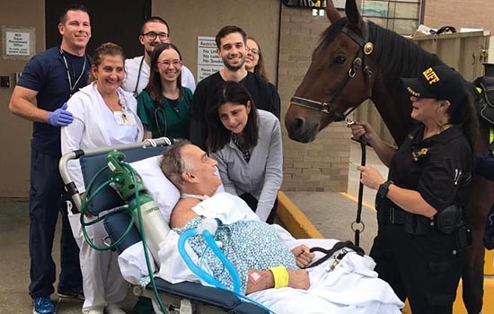 Cleveland Clinic aprovecha el poder calmante de los caballos para servir a sus pacientes