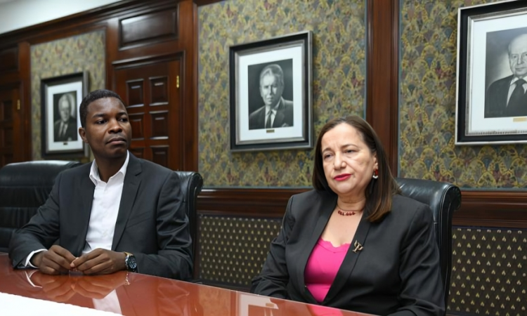 Solo 467 psicólogos para más de 11 millones de personas en República Dominicana