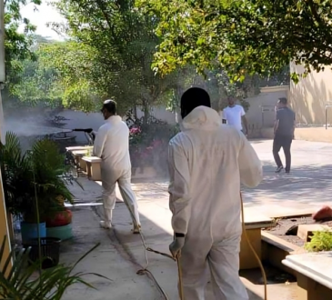 Ministerios de Salud y Educación higienizan más de 900 centros escolares en campaña contra el dengue