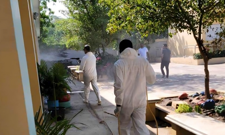 Ministerios de Salud y Educación higienizan más de 900 centros escolares en campaña contra el dengue