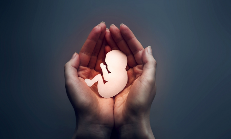 República Dominicana registra más de 67,000 abortos en los últimos cinco años, según datos oficiales