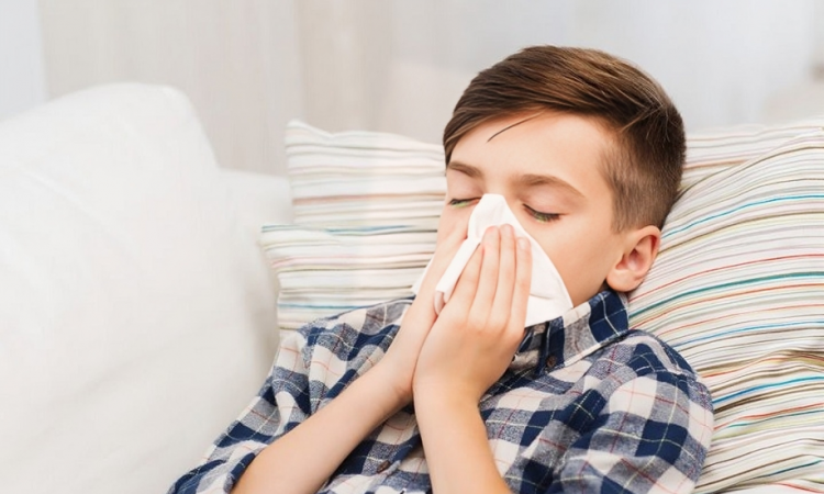 Alerta por brote de virus sincitial respiratorio en República Dominicana Alerta por brote de virus sincitial respiratorio en República Dominicana