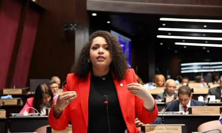 Diputada Juliana O’Neal pide aumentar fondos para tratamiento del cáncer en Presupuesto 2025 Diputada Juliana O’Neal pide aumentar fondos para tratamiento del cáncer en Presupuesto 2025