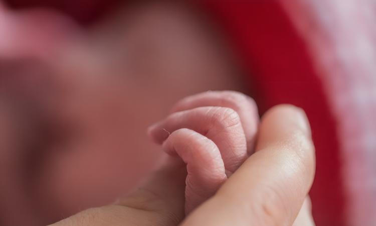 Día Mundial de la Prematuridad: Concientización y apoyo para mejorar el cuidado de los bebés nacidos antes de término Día Mundial de la Prematuridad: Concientización y apoyo para mejorar el cuidado de los bebés nacidos antes de término