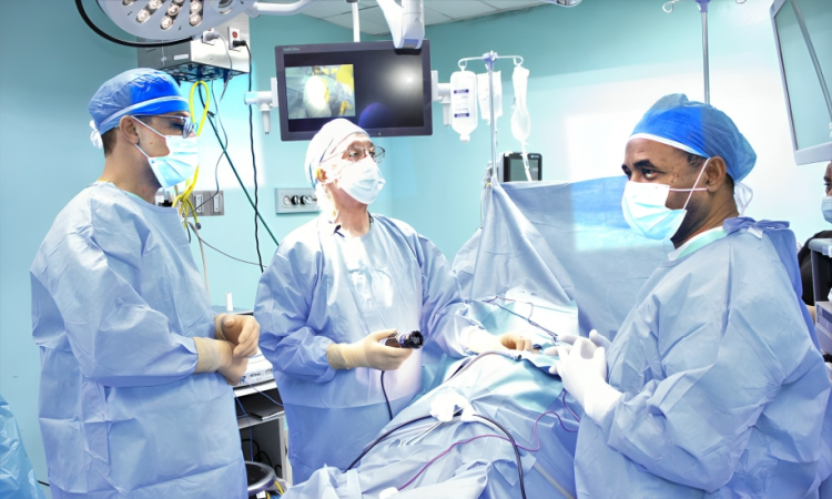 República Dominicana acoge XXX Curso Internacional de Endourología y Laparoscopía Urológica