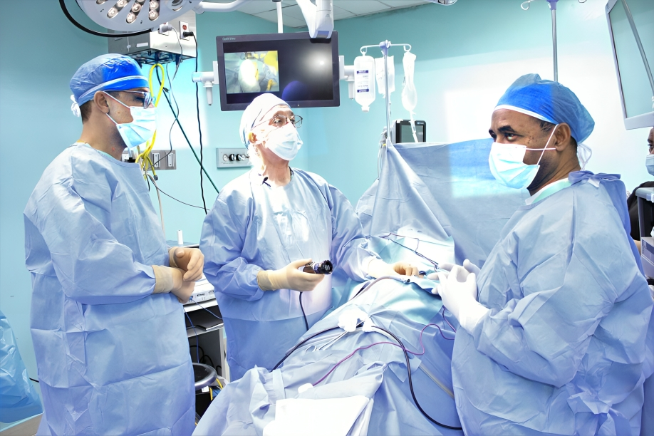 República Dominicana acoge XXX Curso Internacional de Endourología y Laparoscopía Urológica República Dominicana acoge XXX Curso Internacional de Endourología y Laparoscopía Urológica