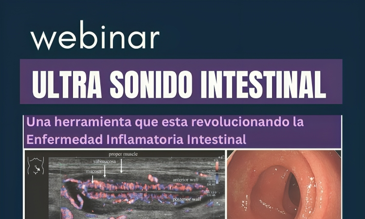 Webinar Ultrasonido Intestinal: Expertos analizan su impacto en el diagnóstico médico Webinar Ultrasonido Intestinal: Expertos analizan su impacto en el diagnóstico médico