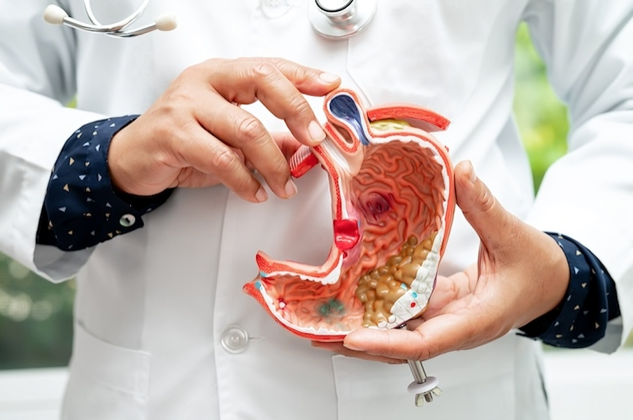 El cáncer de estómago se conecta con los nervios sensoriales para favorecer su crecimiento, según estudio en Nature
