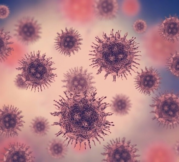 Expertos advierten sobre riesgo de dengue en 2025 por reintroducción del serotipo DENV-3