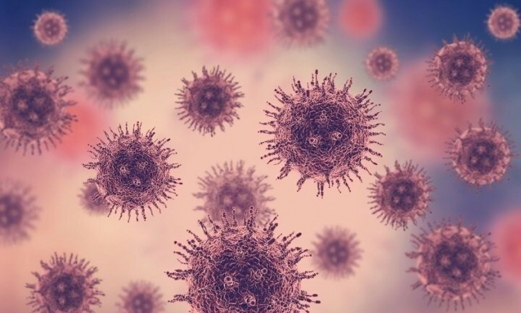 Expertos advierten sobre riesgo de dengue en 2025 por reintroducción del serotipo DENV-3